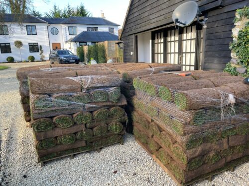 Prestige Lawns And Landscapes - New Lawn