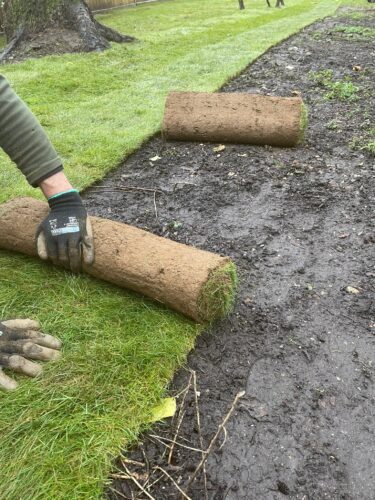 Prestige Lawns And Landscapes - New Lawn